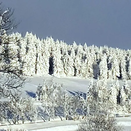 Ferienwohnung-am-schloessel-fuer-2-4-personen-in-oberwiesenthal *